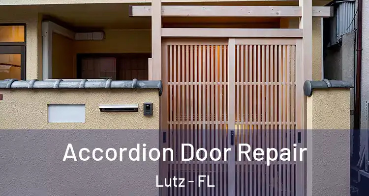  Accordion Door Repair Lutz - FL