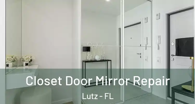  Closet Door Mirror Repair Lutz - FL