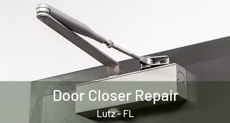  Door Closer Repair Lutz - FL