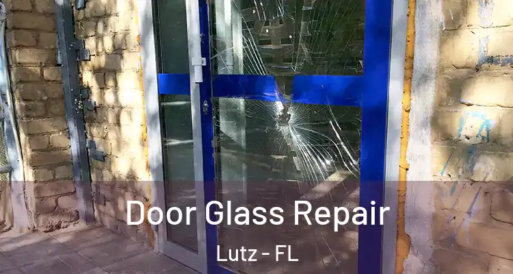  Door Glass Repair Lutz - FL