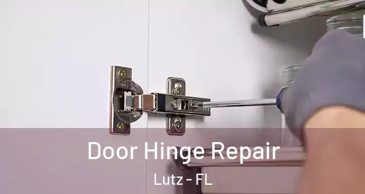  Door Hinge Repair Lutz - FL