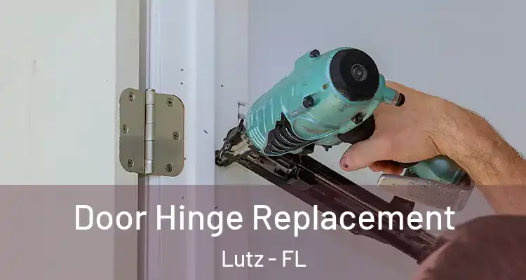 Door Hinge Replacement Lutz - FL