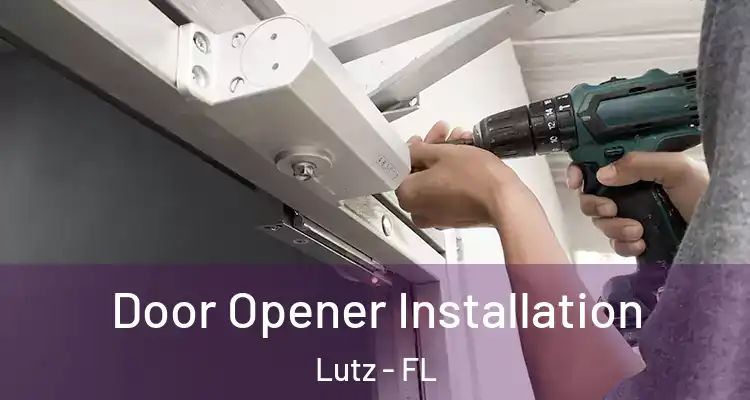  Door Opener Installation Lutz - FL