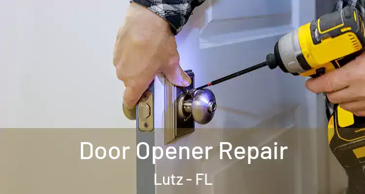  Door Opener Repair Lutz - FL