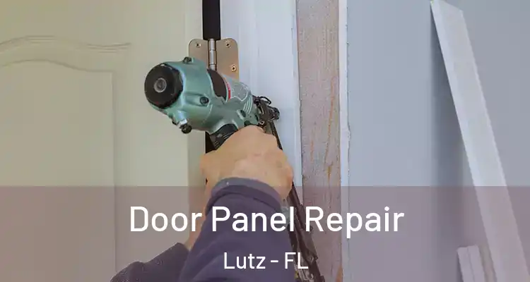  Door Panel Repair Lutz - FL