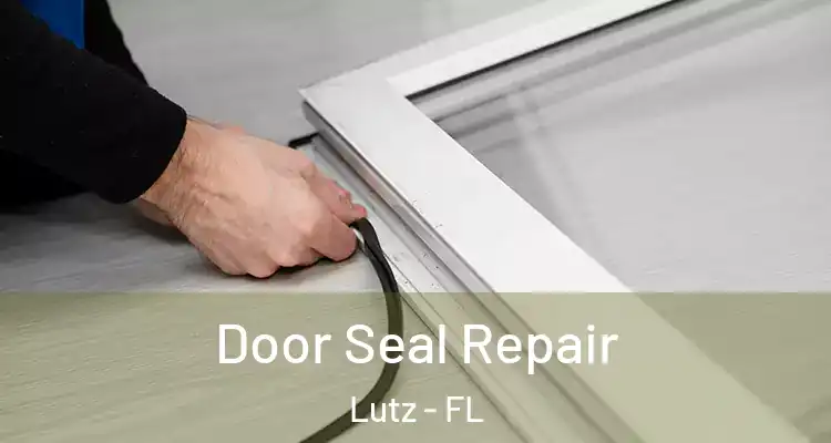  Door Seal Repair Lutz - FL