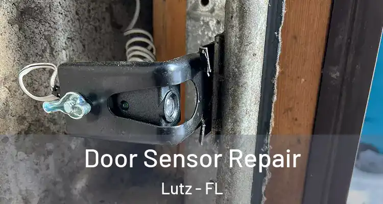  Door Sensor Repair Lutz - FL