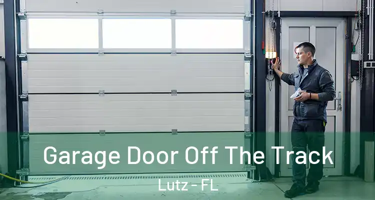 Garage Door Off The Track Lutz - FL