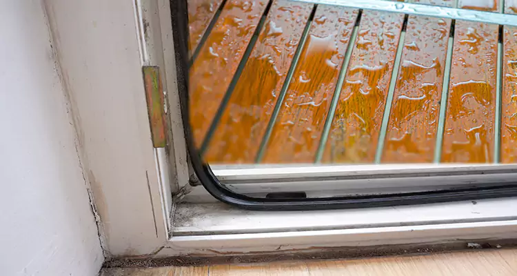 Water Leaking Wooden Patio Doors Repair in Lutz, FL