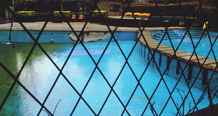 Lanai Screen Repair in Lutz, FL