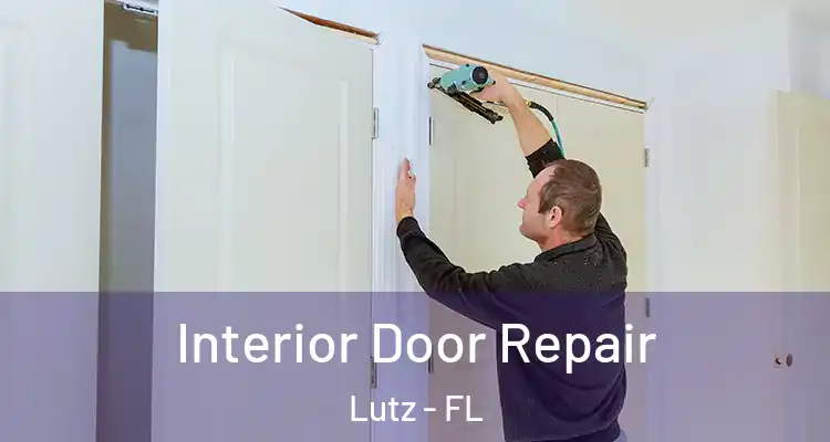  Interior Door Repair Lutz - FL