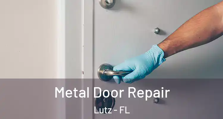  Metal Door Repair Lutz - FL