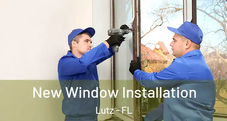  New Window Installation Lutz - FL