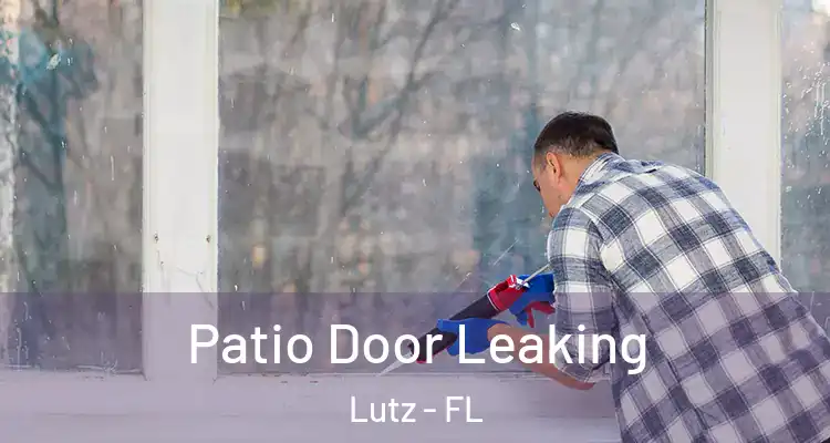  Patio Door Leaking Lutz - FL