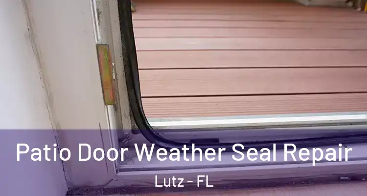 Patio Door Weather Seal Repair Lutz - FL