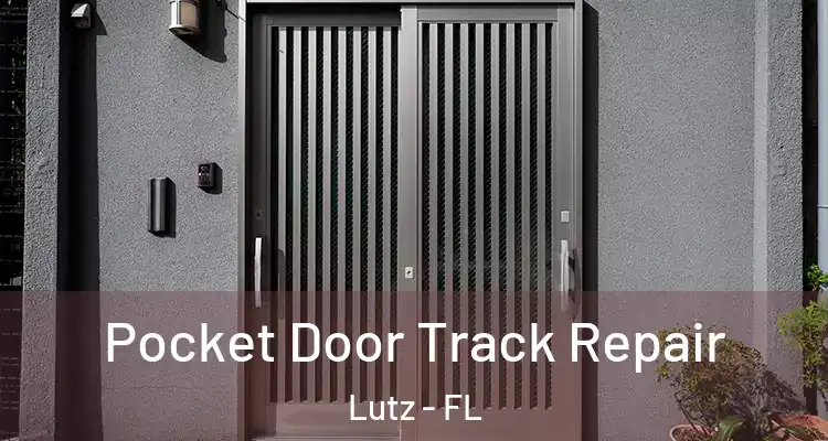  Pocket Door Track Repair Lutz - FL