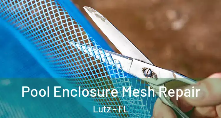  Pool Enclosure Mesh Repair Lutz - FL
