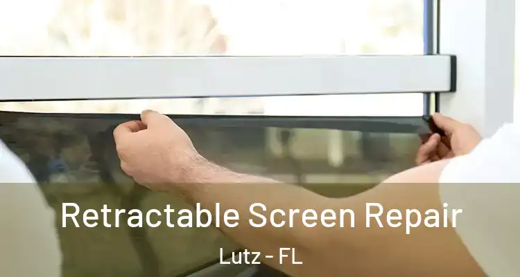  Retractable Screen Repair Lutz - FL