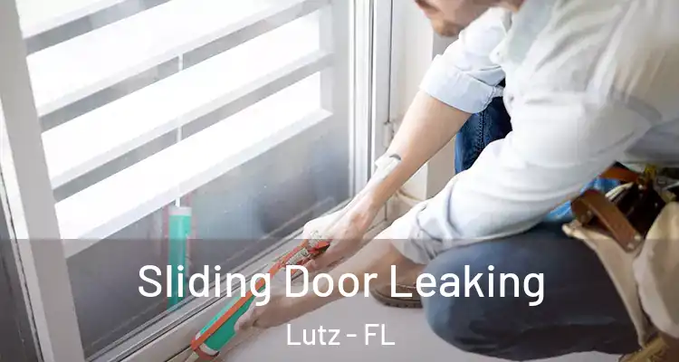  Sliding Door Leaking Lutz - FL