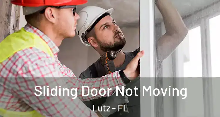  Sliding Door Not Moving Lutz - FL