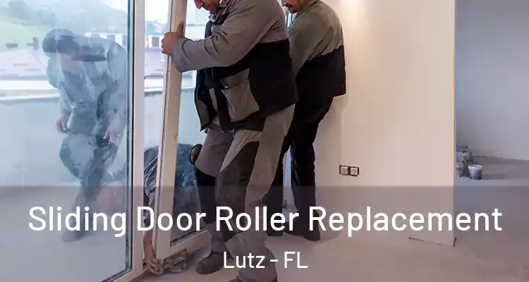  Sliding Door Roller Replacement Lutz - FL