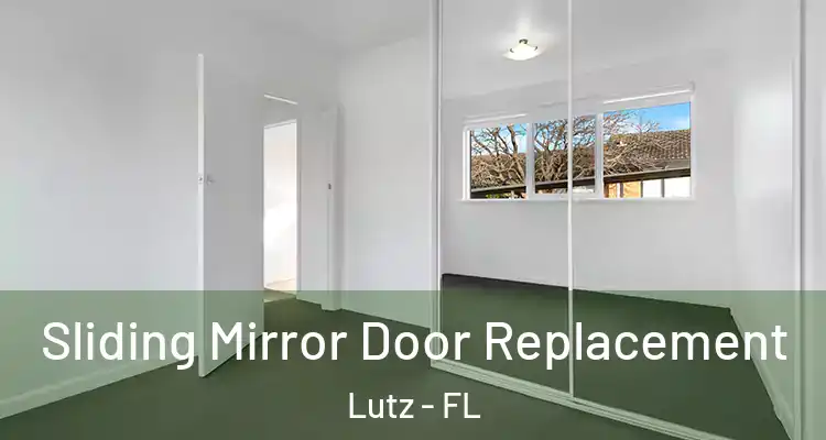  Sliding Mirror Door Replacement Lutz - FL