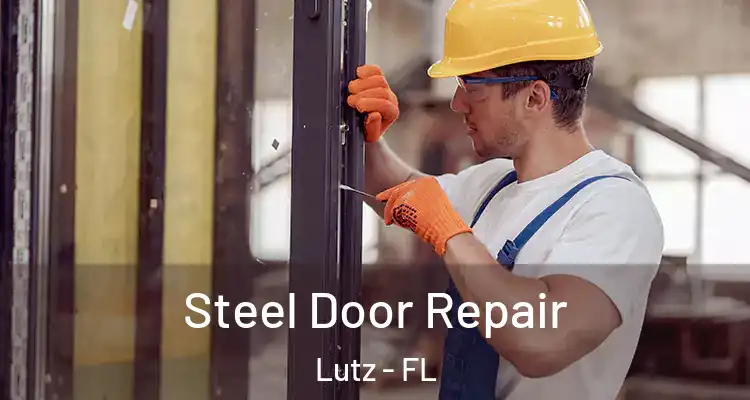  Steel Door Repair Lutz - FL