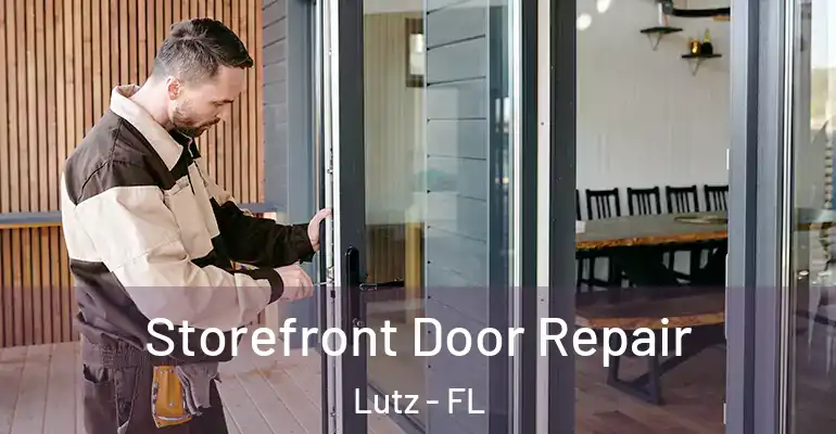  Storefront Door Repair Lutz - FL