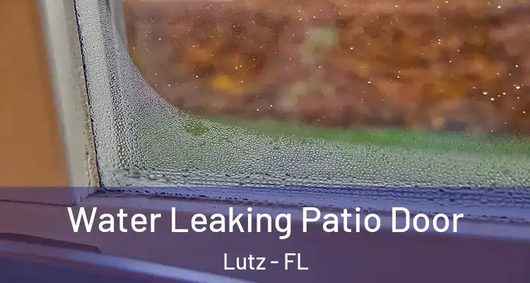  Water Leaking Patio Door Lutz - FL