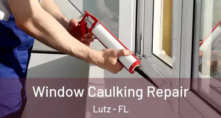  Window Caulking Repair Lutz - FL
