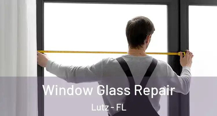  Window Glass Repair Lutz - FL