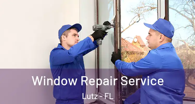  Window Repair Service Lutz - FL