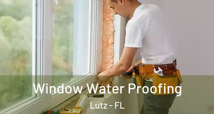  Window Water Proofing Lutz - FL