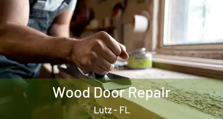  Wood Door Repair Lutz - FL